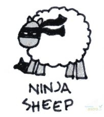 The Ninja Sheep